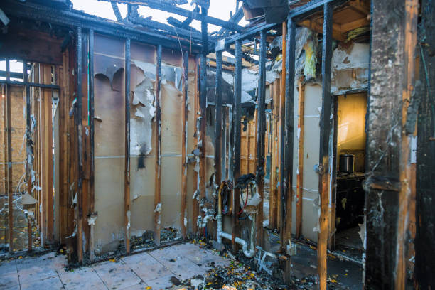 Professional Fire Damage Cleanup technician working in Deer Park, TX