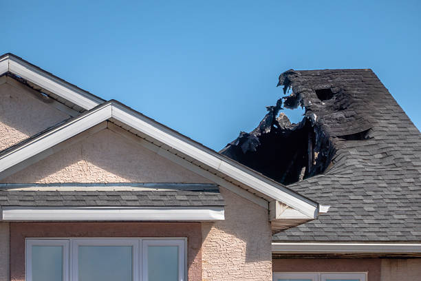 Top rated local Fire Damage Cleanup specialists in Deer Park, TX